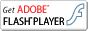 Adobe Flash Player����肷��